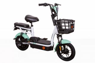 Bicicleta electrica ZT-02