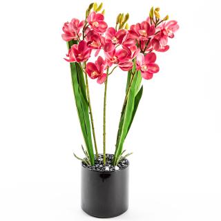 Orhidee Cymbidium in ghiveci ceramic gama ,,De Luxe,, - 60 cm