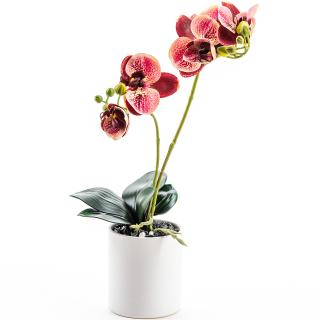 Orhidee Phalaenopsis in ghiveci ceramic gama ,,De LUXE,, - 45 cm