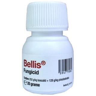 Fungicid Bellis - 20 grame, sistemic