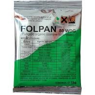 Fungicid Folpan 80 WDG, contact - 150 gr