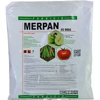 Fungicid Merpan 80 WDG - 150 grame, contact