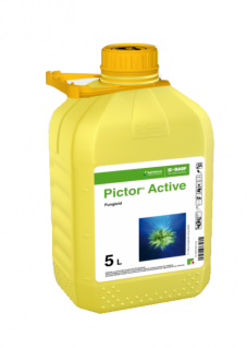 Fungicid Pictor Active, 5 litri ,  sistemic
