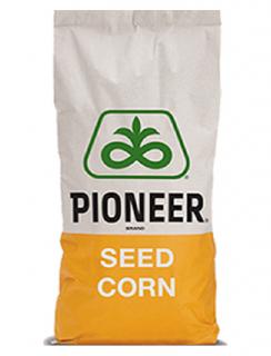 Samanta porumb PIONEER P9911, FAO 410, LumiGEN, Optimum AQUAmax - sac 80.000 boabe