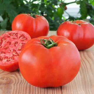 Seminte de tomate BIG BEEF F1 - 100 seminte