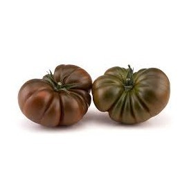 Seminte de tomate Bucanero F1 , nedeterminate - 100 seminte
