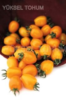 Seminte de tomate Chick F1 142-550, nedeterminate - 250 seminte