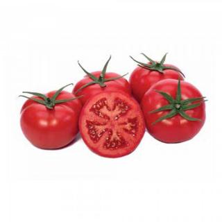 Seminte de tomate  GIRAFFE F1 (EKIN F1), semideterminate - 500 sem