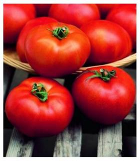 Seminte de tomate HECTOR F1 - 1000 seminte