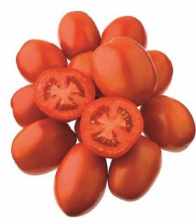 Seminte de tomate JAG 8810 F1- 10000 seminte