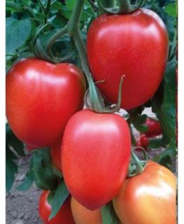 Seminte de tomate Peradur ( MILLONETY) F1, nedeterminate - 500 seminte