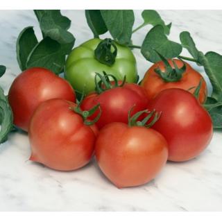 Seminte de tomate Prekos F1 - 250 seminte