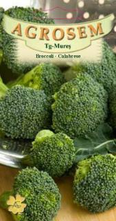 Broccoli Calabrese 1.5gr