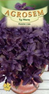 Busuioc rosu Red Basil 0.4gr