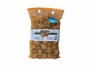 Cartofi de samanta albi Spunta 5kg clasa A 28 35 Olanda