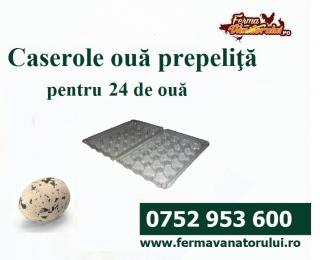 Caserola pt. oua de prepelite cu 24 de locasuri