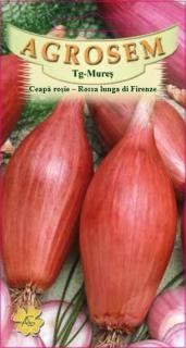 Ceapa rosie Rossa Lunga di Firenze 1.5gr