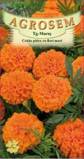 Craite pitice cu flori mari- portocalii  0.2gr