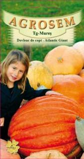 Dovleac de copt Atlantic Giant 2gr