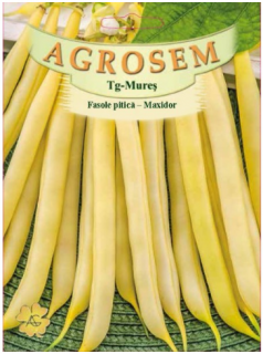 Fasole pitica galbena Maxidor 100gr