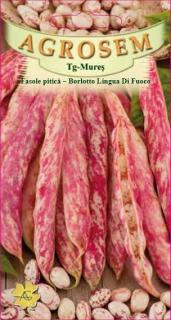 Fasole pitica tarcata Borlotto Lingua Di Fuoco 50gr