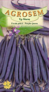 Fasole pitica Violet Purple Queen 10gr