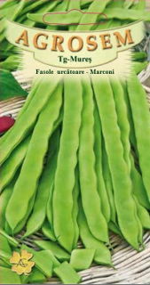 Fasole urcatoare verde Marconi 10gr