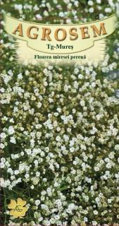 Floarea miresei perena alba 0.15gr