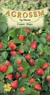 Fragute Rugen 0.02gr