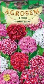 Garofite de gradina mix 0,3gr