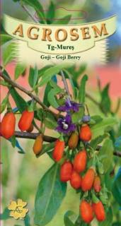 Goji berry 10 seminte