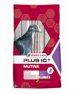 Hrana pentru porumbei Plus IC Mutine 20+2kg - Versele Laga