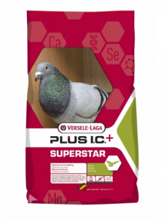 Hrana porumbei Superstar Plus IC 20 kg - Versele Laga