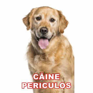 Indicator caine periculos Golden Retriever