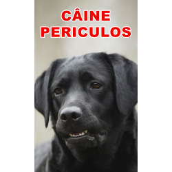 Indicator caine periculos Retriever Negru