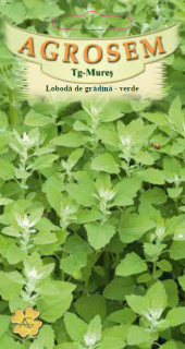 Loboda verde de gradina 0.4gr