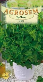 Menta piperita 0,05gr