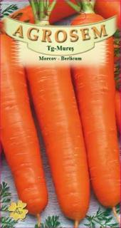 Morcov Berlicum 5gr