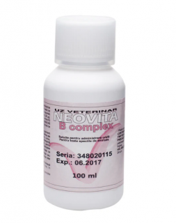 Neovita B complex 100ml