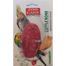 Os sepie zoo care  capsuni 9-10cm