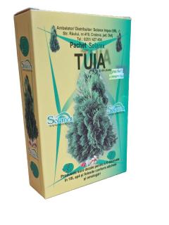 Pachet tuia si alte plante