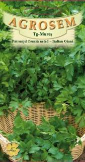 Patrunjel frunze neted italian 4 gr