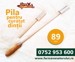 Pila pentru curatat dinti
