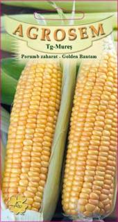 Porumb zaharat Golden Bantam 10g