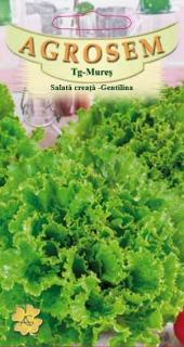 Salata creata Gentilina 1.5gr