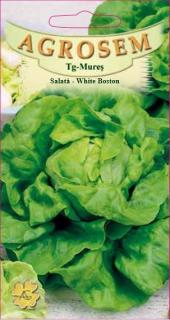 Salata White Boston 2.5gr