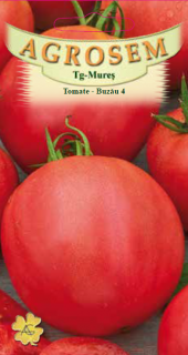 Tomate Buzau 4  2gr