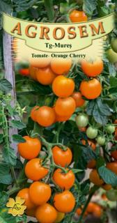 Tomate Orange Cherry 0.2gr