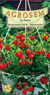 Tomate pentru balcon - Balkonzauber 0.3gr