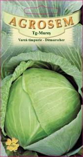 Varza timpurie Ditmarscher 3gr